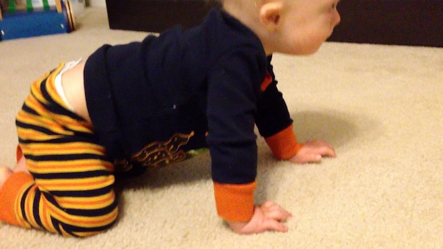 quadruped crawling first time baby