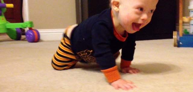 when will baby start crawling
