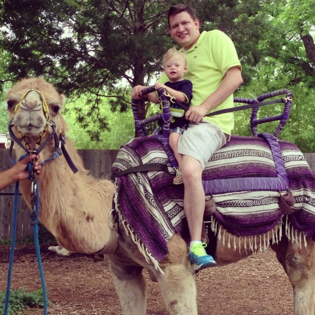 riding camel dallas zoo child special needs