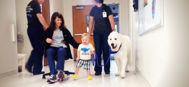kid with down syndrome using therapy dog