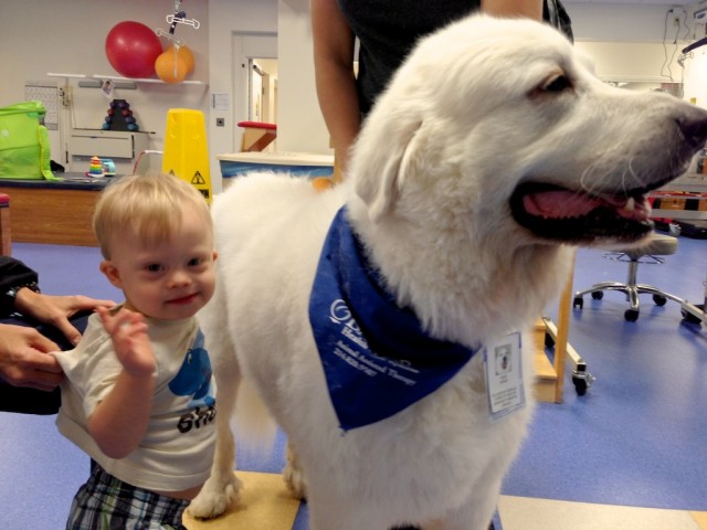 therapy dog physical therapy one yearold boy