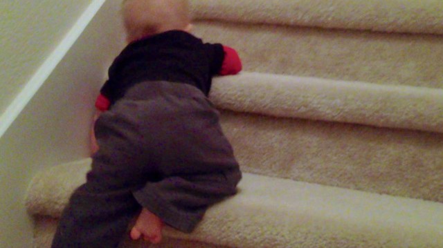 baby crawling stairs first time home