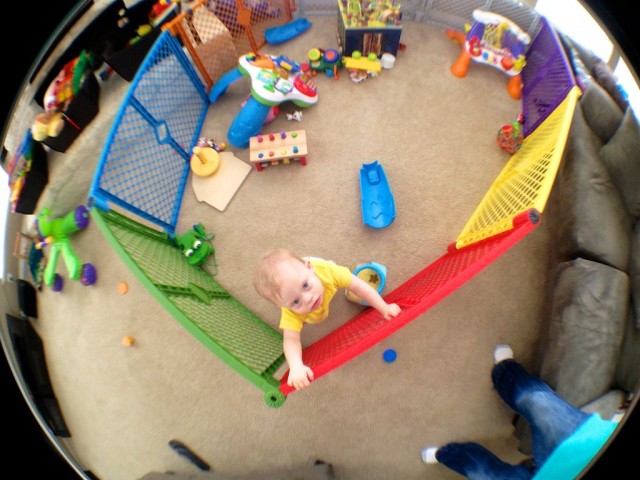 baby climbing over play gate