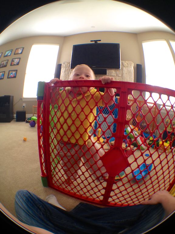 best play gate yard for babies toddlers