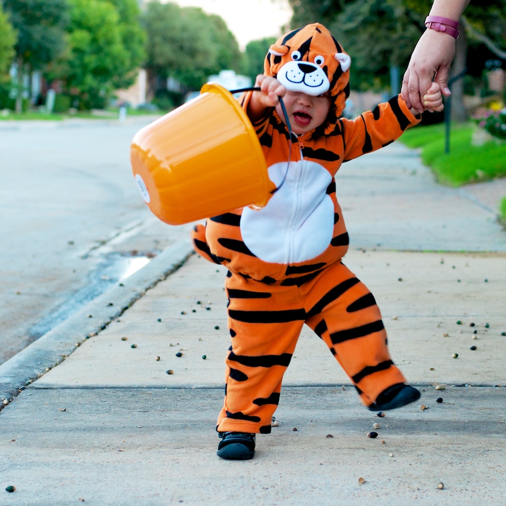 The Cutest Baby Tiger Ever! (And We Want To See Your Halloween ...