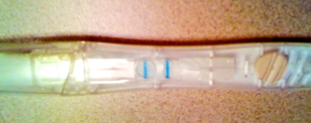 The pregnancy test that changed everything.