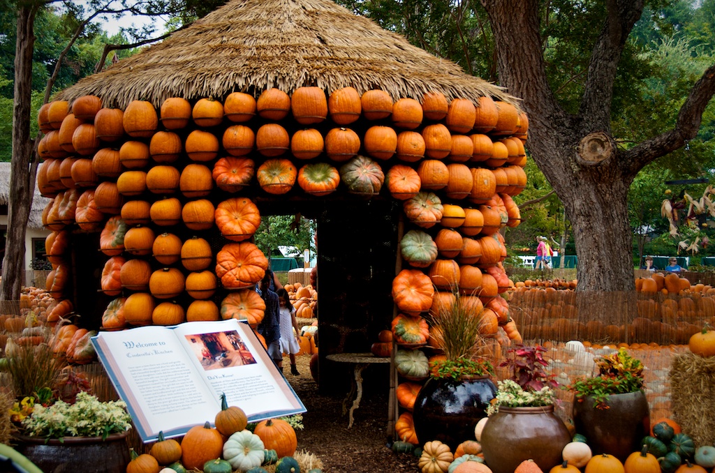 A Day Full Of Pumpkins At The Dallas Arboretum Great Pumpkin Festival