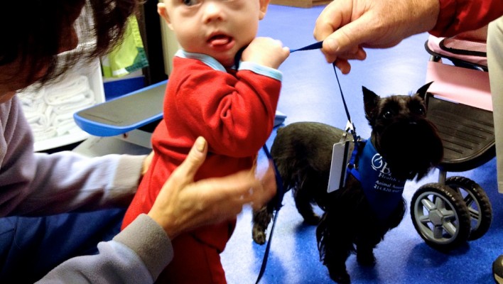 Nervous child with Down syndrome with therapy dog