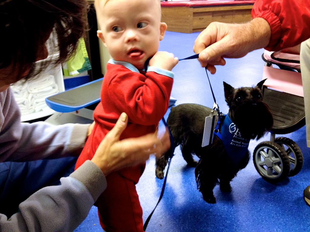 Nervous child with Down syndrome with therapy dog